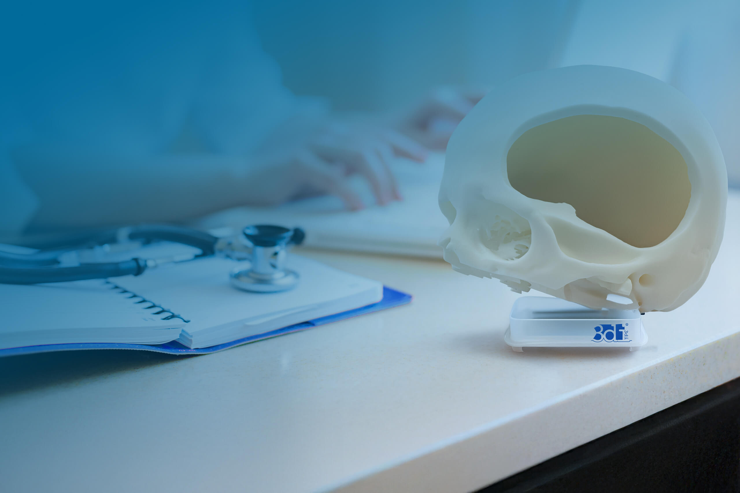 Focus-Image-Hartgewebemodelle