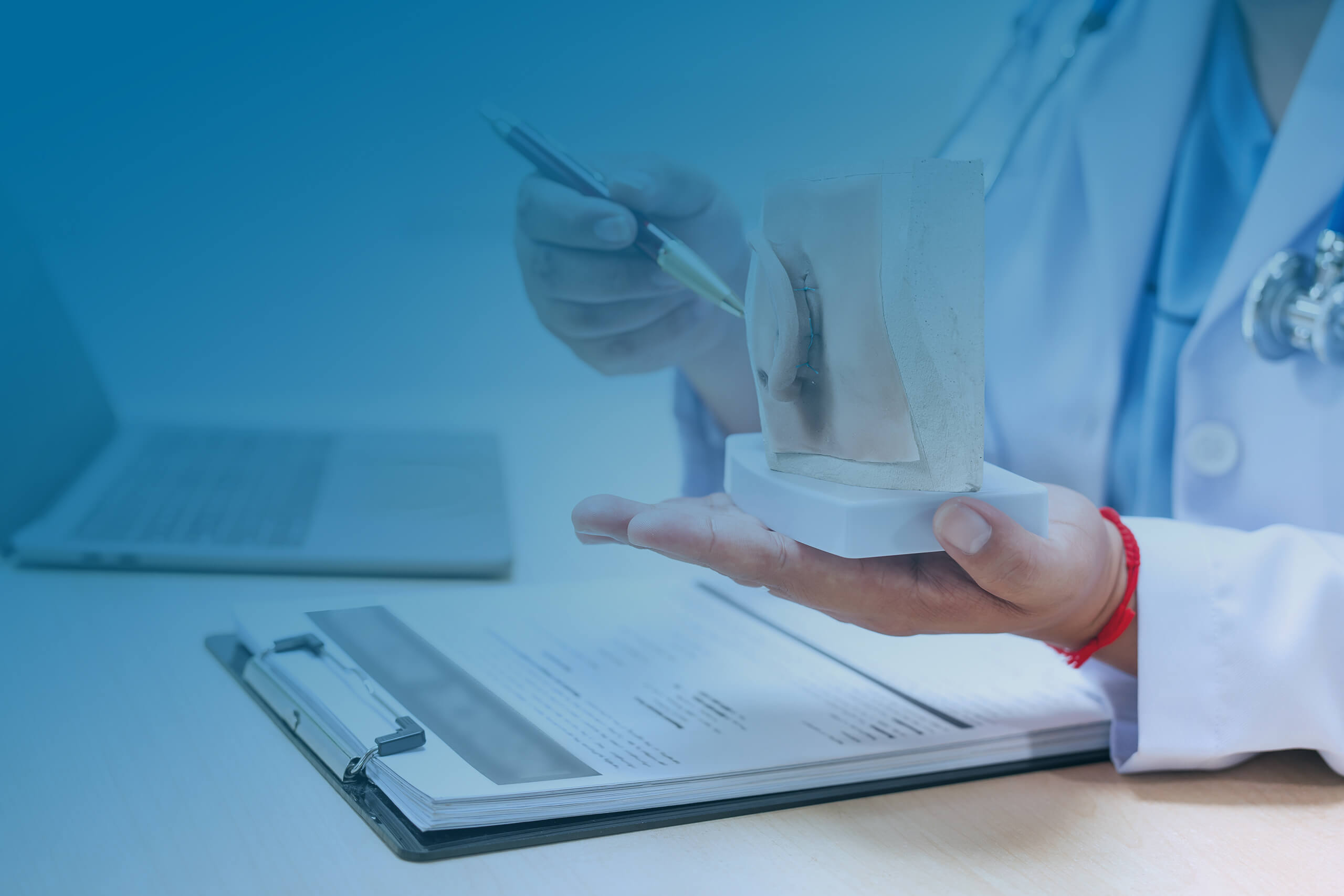 Focus-Image-Weichgewebemodelle