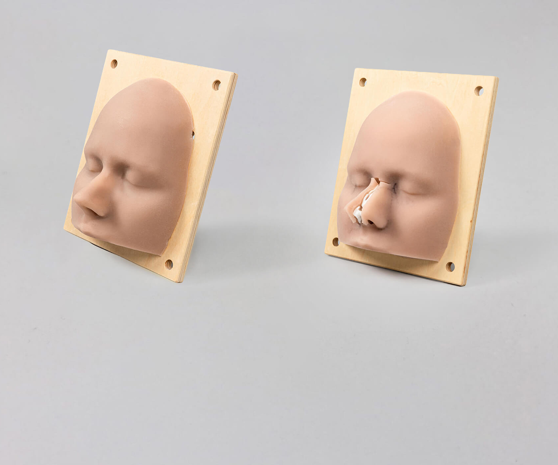 teaser-image-soft-tissue-models