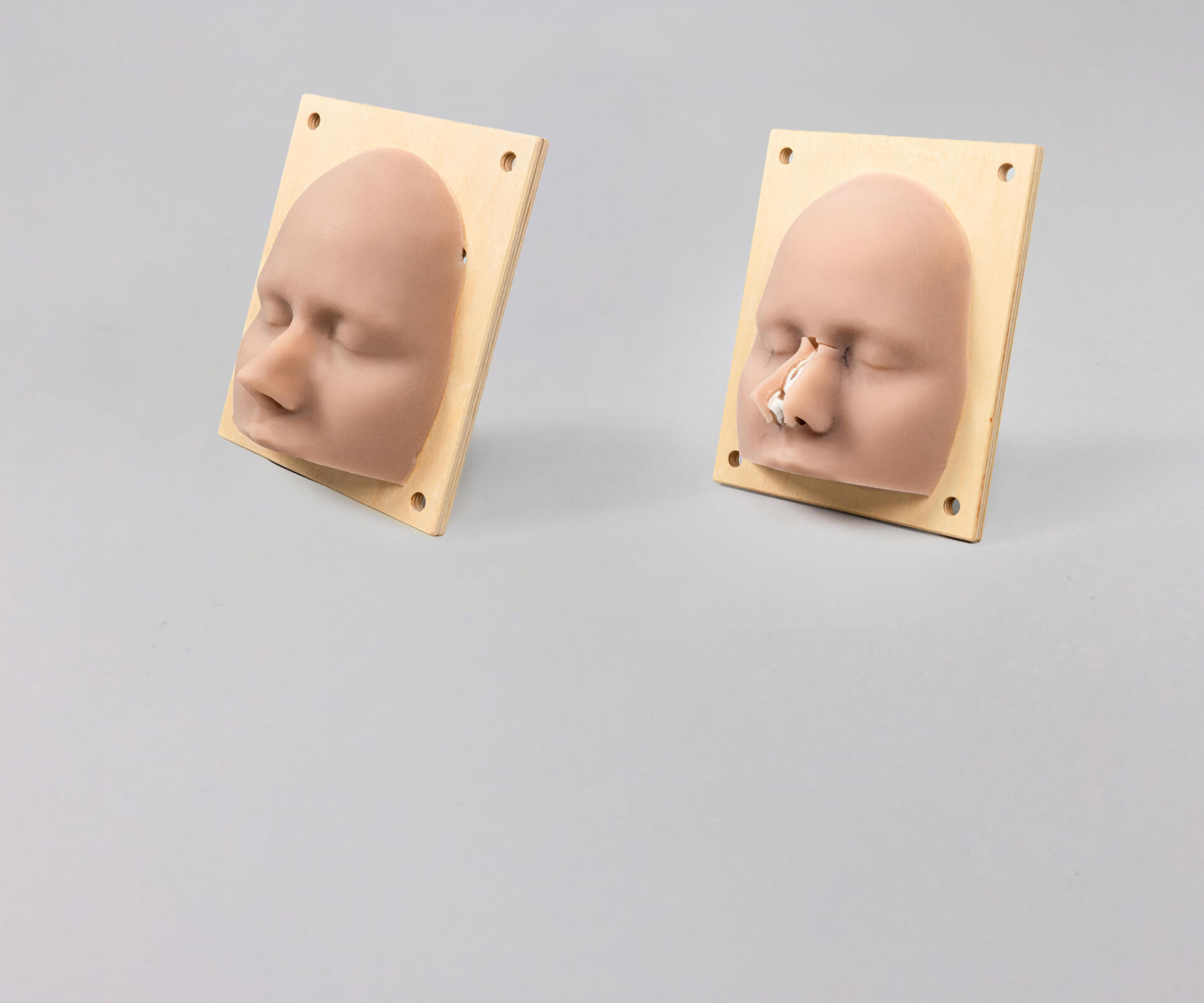 Teaser-Weichgewebemodelle